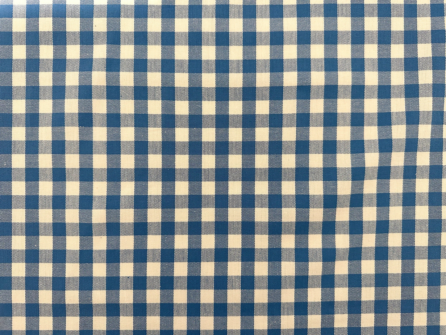 Blue Picnic Gingham