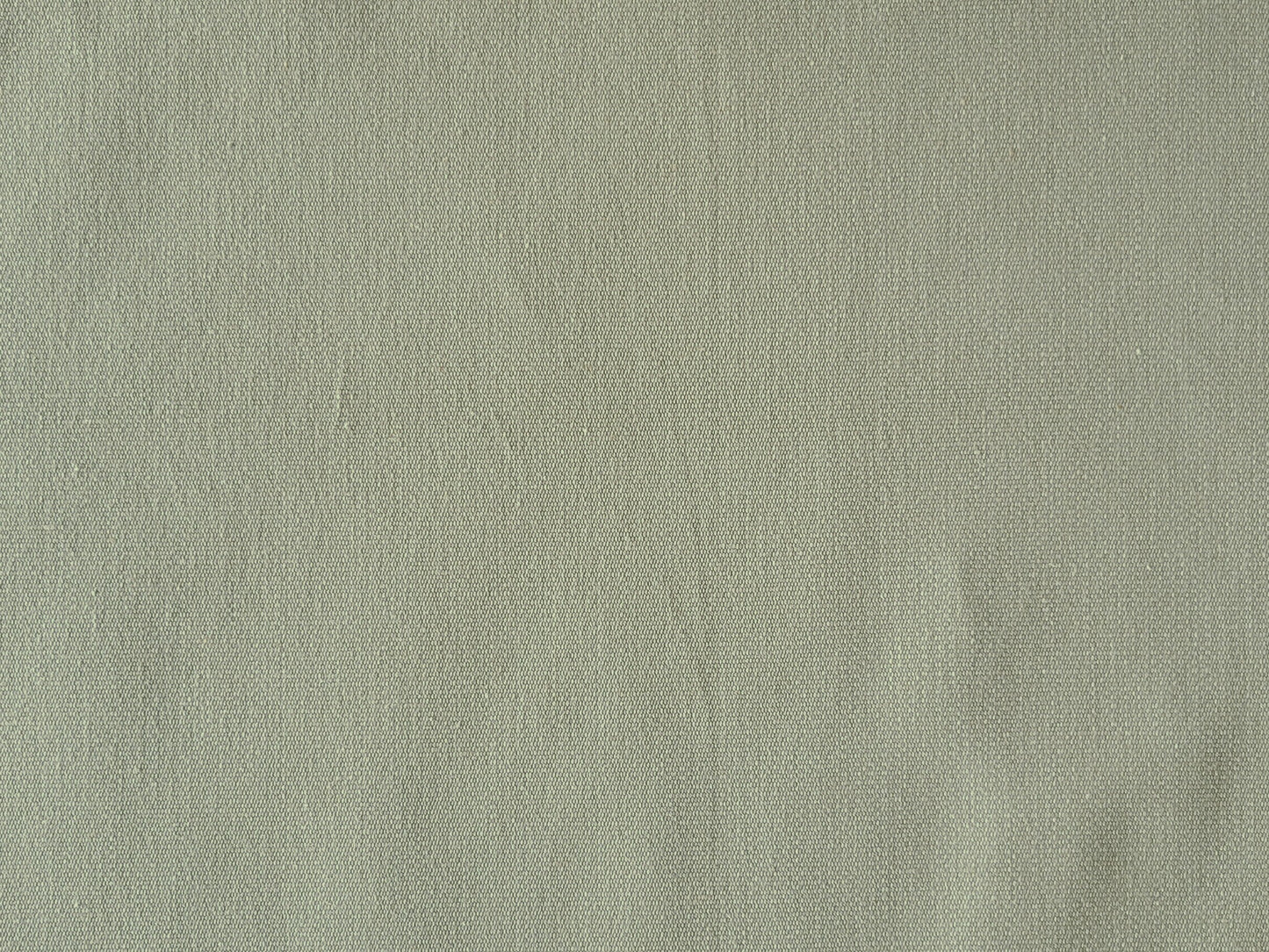 Eucalyptus Canvas
