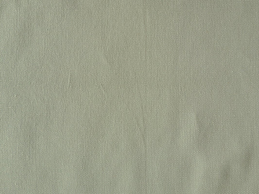 Eucalyptus Canvas