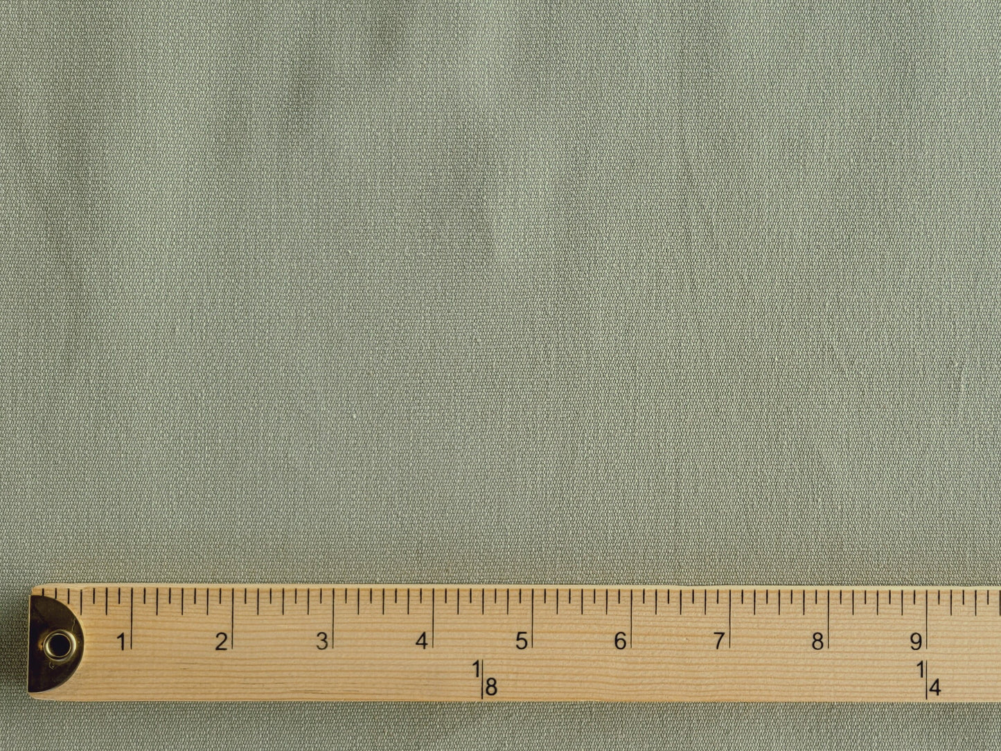 Eucalyptus Canvas