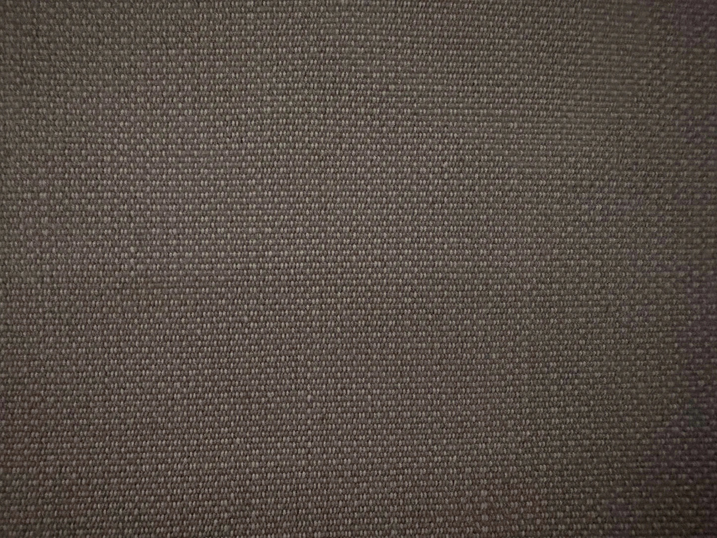 Gray Canvas