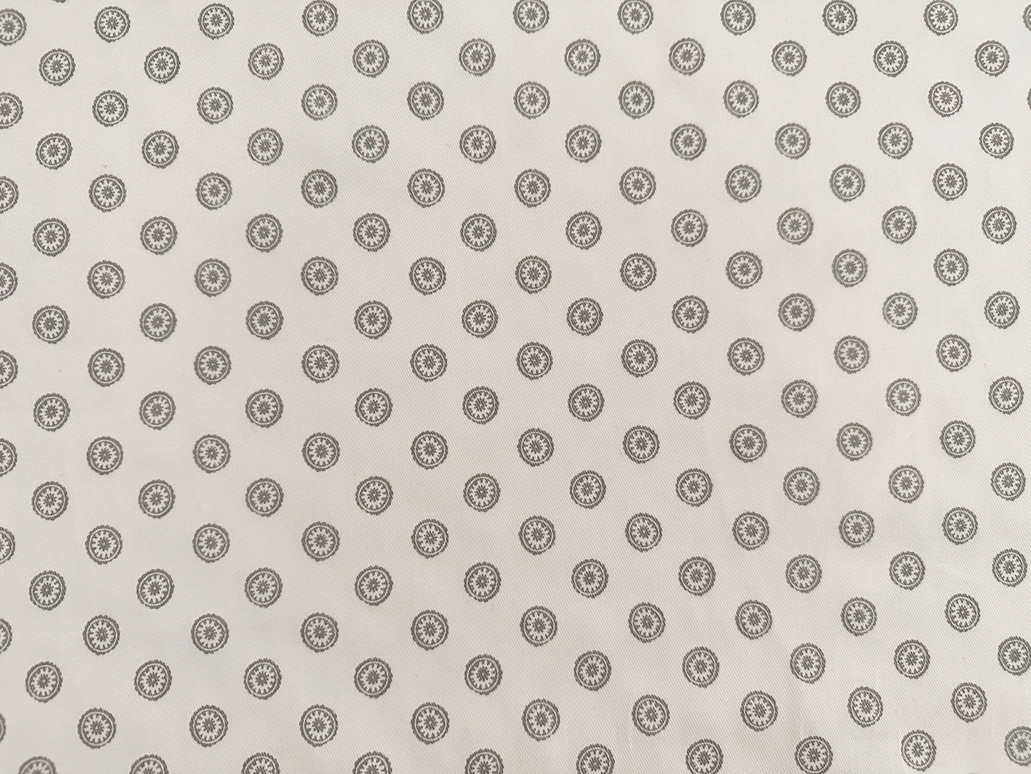 Gray Magnolia