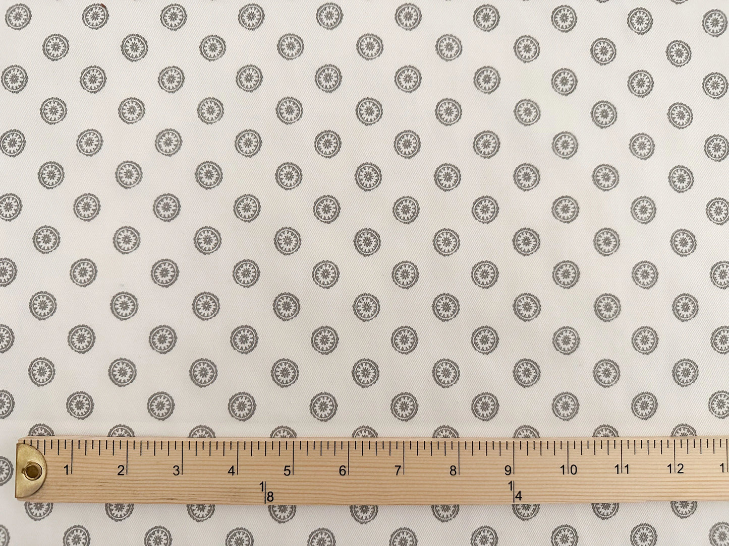 Gray Magnolia