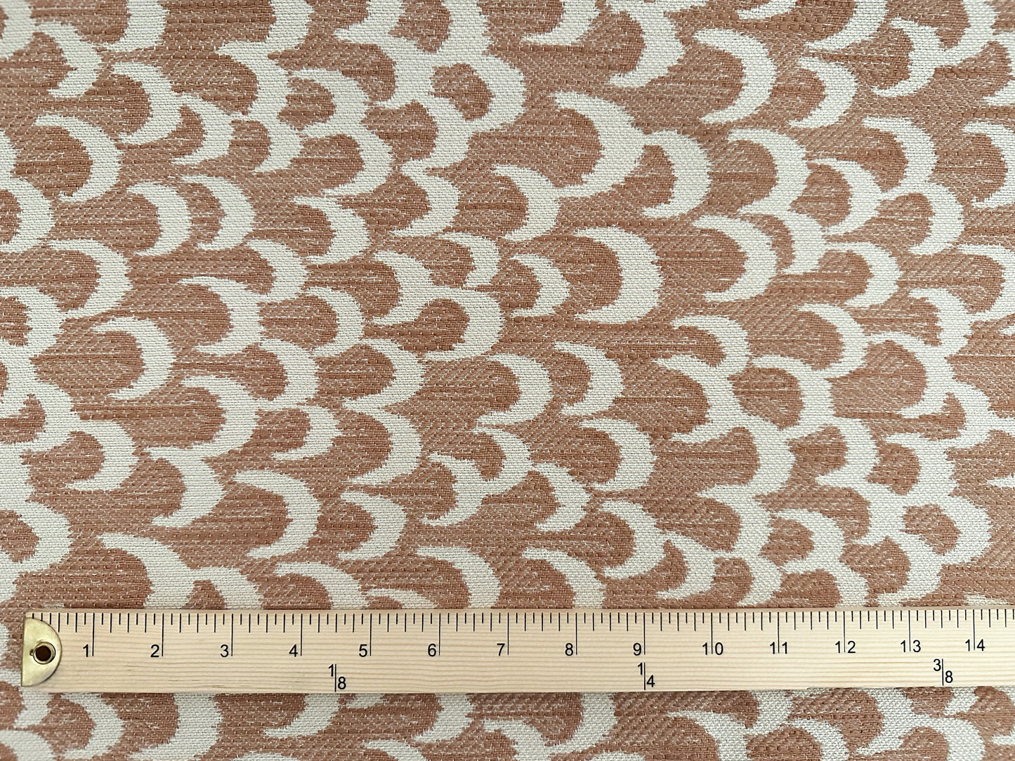 Salmon Scales