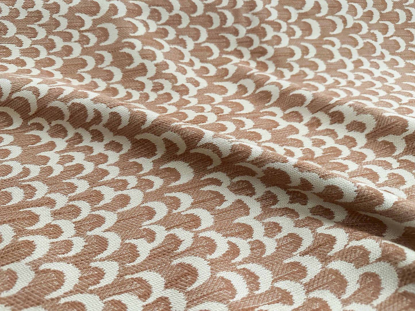 Salmon Scales