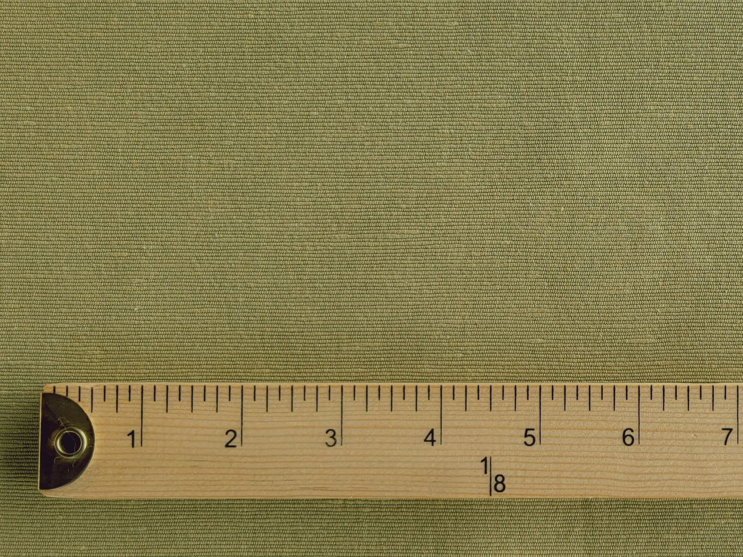 Verde Green Canvas
